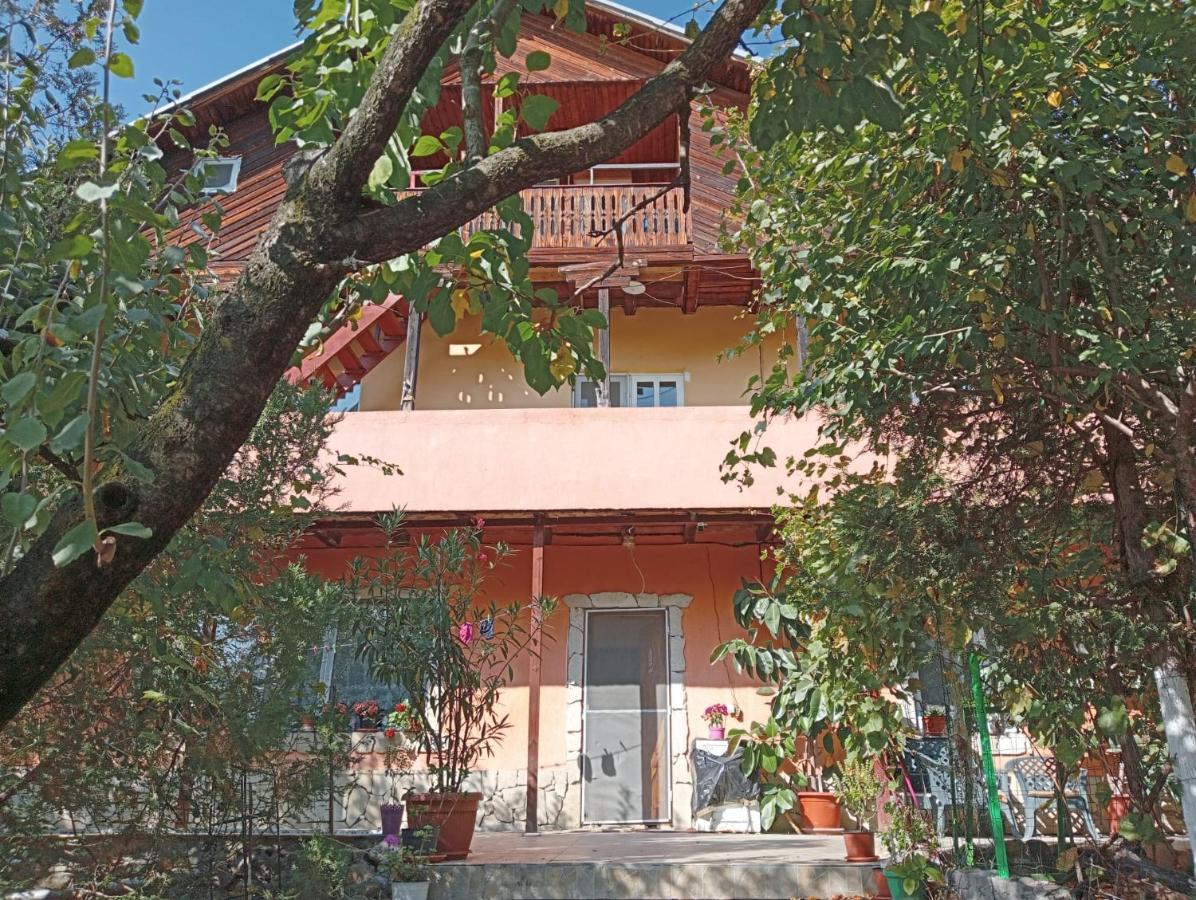 Vila Mara Sarata-Monteoru Exterior photo